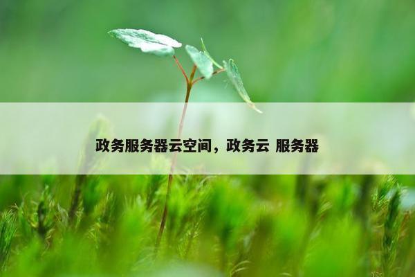 政务服务器云空间，政务云 服务器