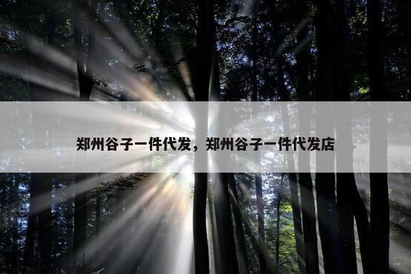 郑州谷子一件代发，郑州谷子一件代发店
