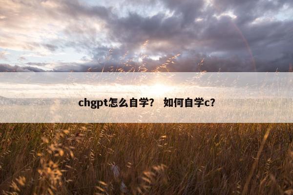 chgpt怎么自学？ 如何自学c？