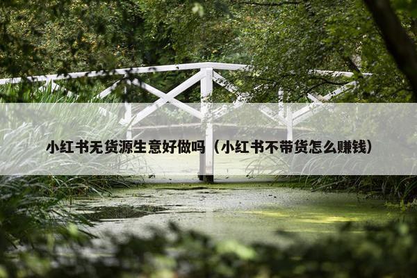 小红书无货源生意好做吗（小红书不带货怎么赚钱）