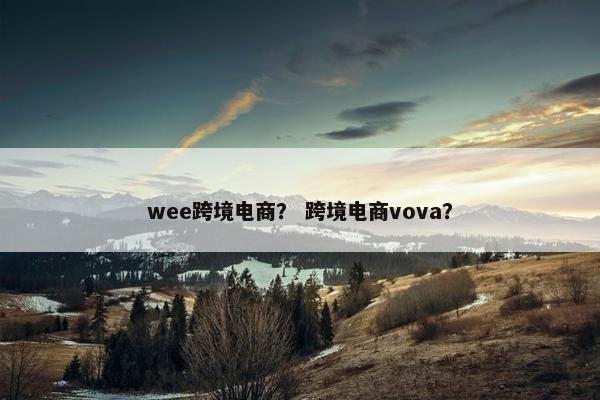 wee跨境电商？ 跨境电商vova？