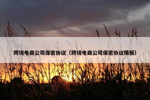 跨境电商公司保密协议（跨境电商公司保密协议模板）