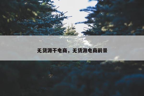 无货源干电商，无货源电商前景