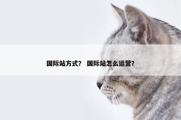 国际站方式？ 国际站怎么运营？