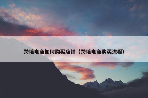 跨境电商如何购买店铺（跨境电商购买流程）