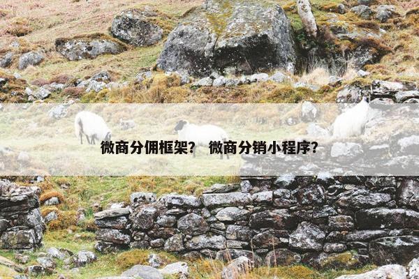 微商分佣框架？ 微商分销小程序？