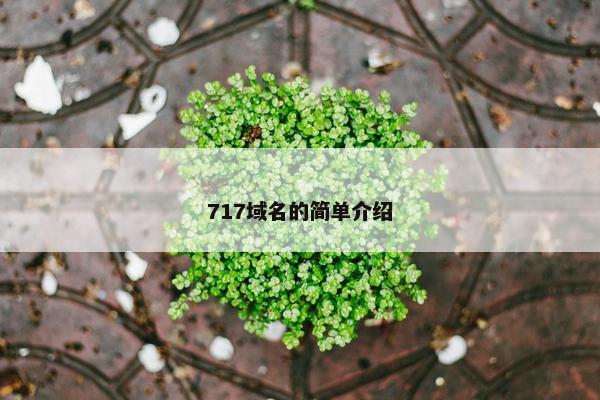 717域名的简单介绍