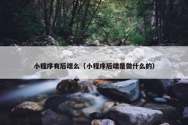 小程序有后端么（小程序后端是做什么的）