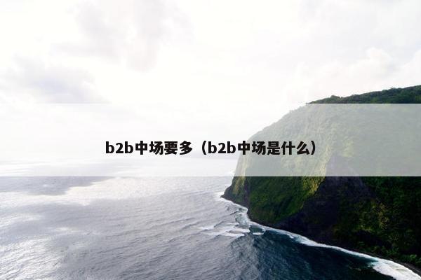 b2b中场要多（b2b中场是什么）