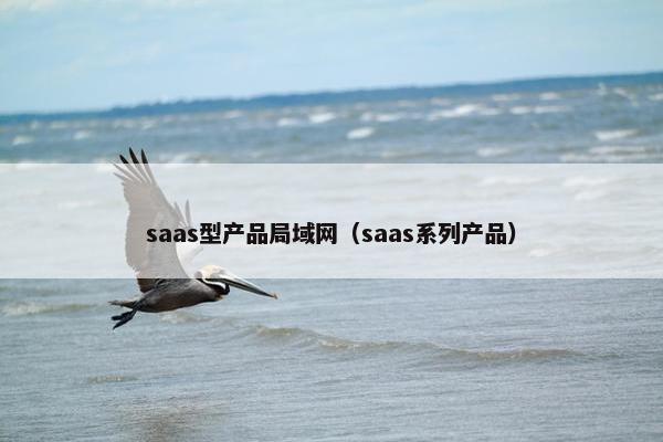 saas型产品局域网（saas系列产品）
