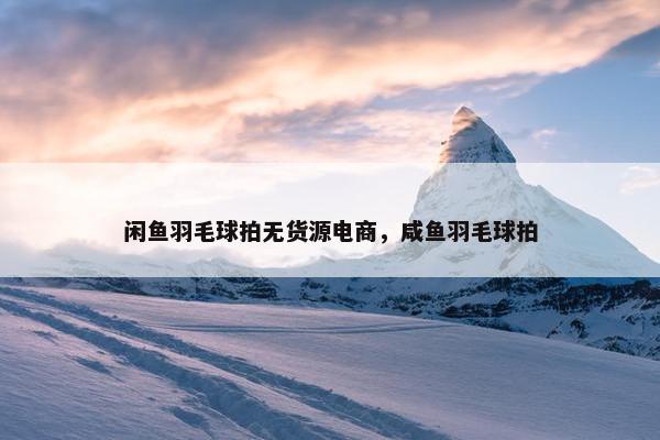 闲鱼羽毛球拍无货源电商，咸鱼羽毛球拍
