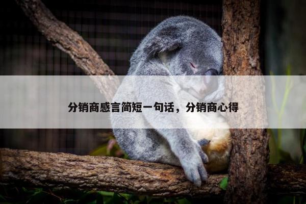 分销商感言简短一句话，分销商心得