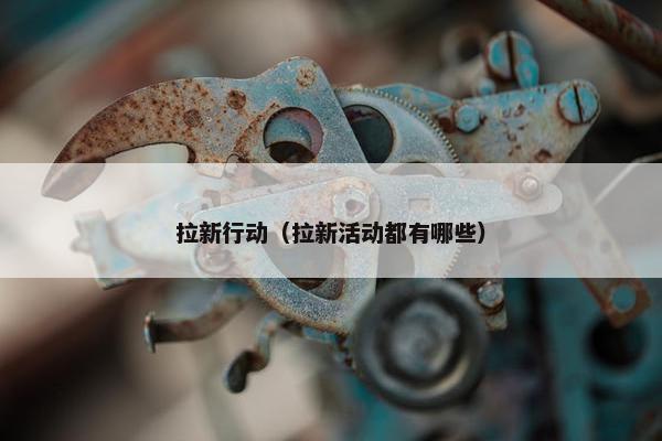 拉新行动（拉新活动都有哪些）
