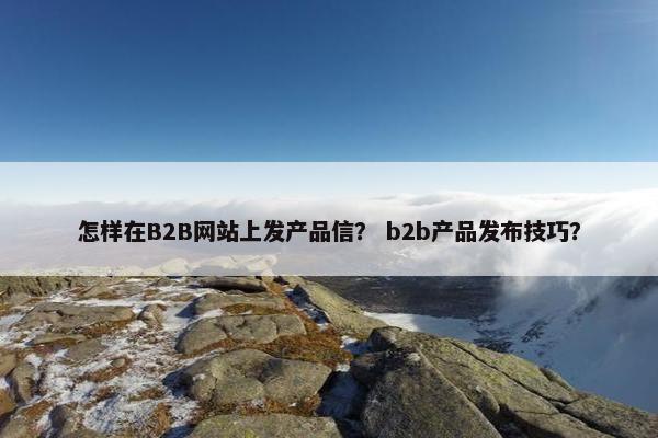 怎样在B2B网站上发产品信？ b2b产品发布技巧？