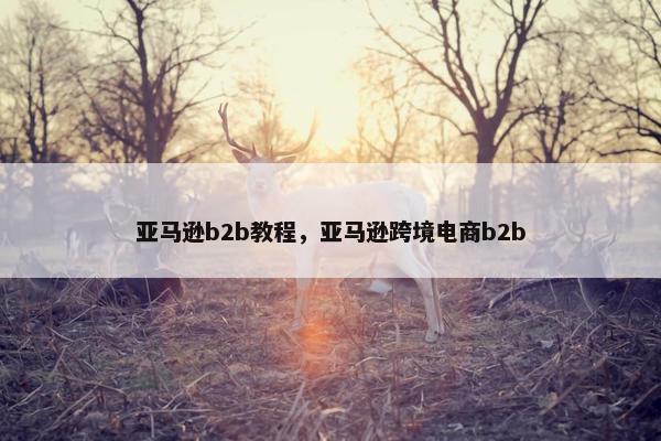 亚马逊b2b教程，亚马逊跨境电商b2b