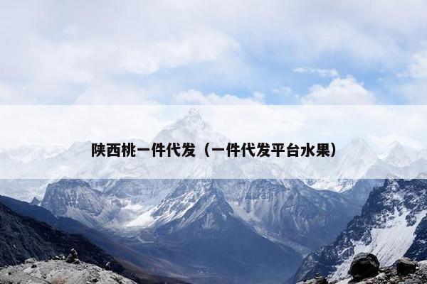 陕西桃一件代发（一件代发平台水果）
