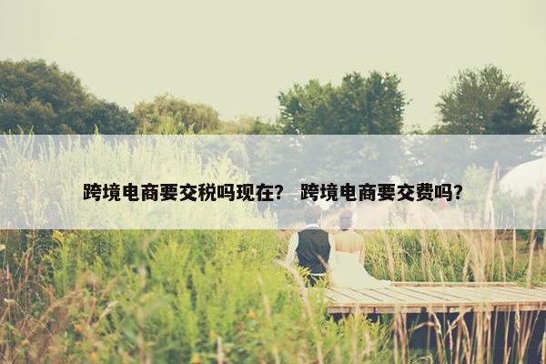跨境电商要交税吗现在？ 跨境电商要交费吗？