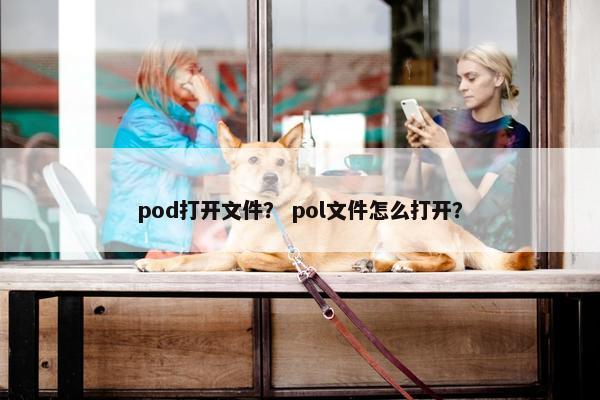 pod打开文件？ pol文件怎么打开？