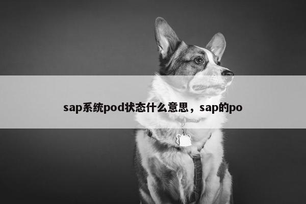 sap系统pod状态什么意思，sap的po