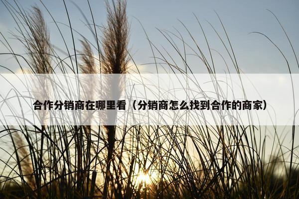 合作分销商在哪里看（分销商怎么找到合作的商家）
