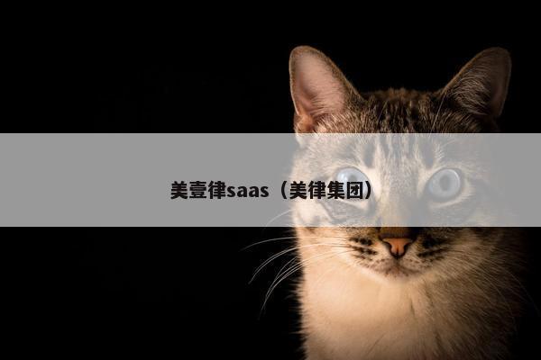 美壹律saas（美律集团）