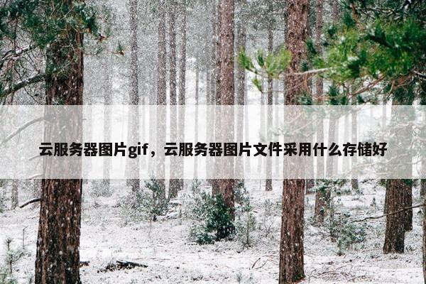 云服务器图片gif，云服务器图片文件采用什么存储好
