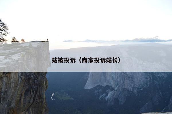 站被投诉（商家投诉站长）