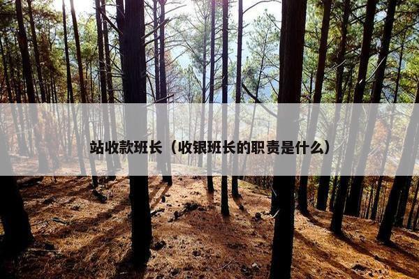 站收款班长（收银班长的职责是什么）