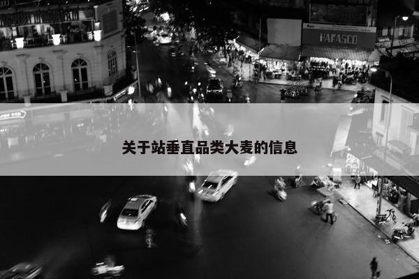 关于站垂直品类大麦的信息