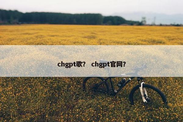 chgpt歌？ chgpt官网？