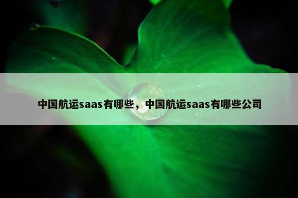 中国航运saas有哪些，中国航运saas有哪些公司