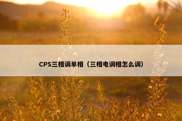 CPS三相调单相（三相电调相怎么调）