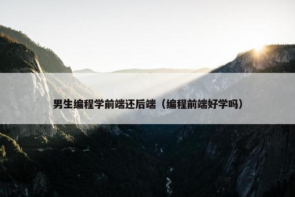男生编程学前端还后端（编程前端好学吗）