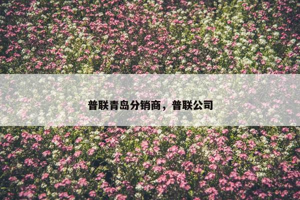 普联青岛分销商，普联公司