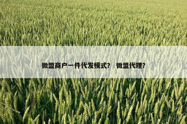 微盟商户一件代发模式？ 微盟代理？