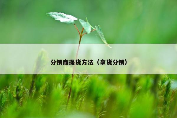 分销商提货方法（拿货分销）