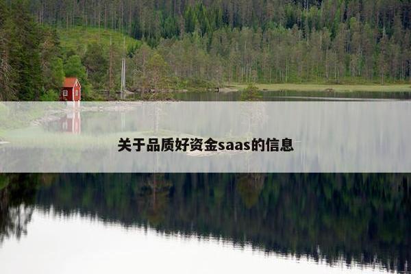 关于品质好资金saas的信息