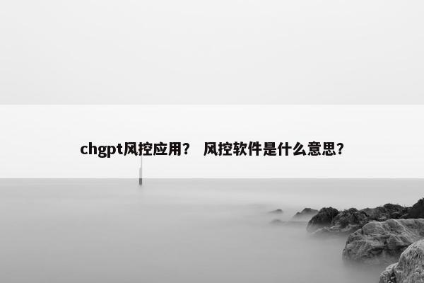 chgpt风控应用？ 风控软件是什么意思？