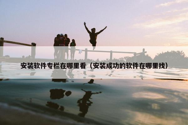 安装软件专栏在哪里看（安装成功的软件在哪里找）