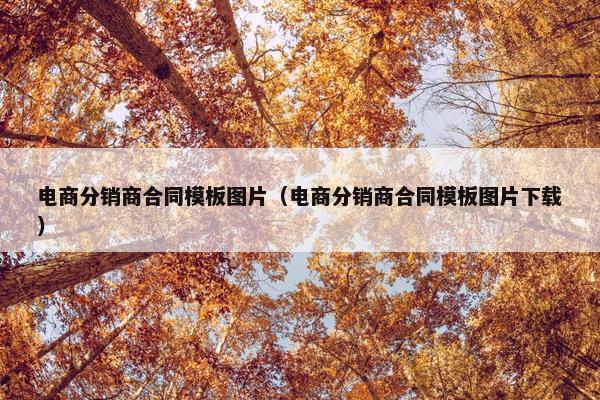 电商分销商合同模板图片（电商分销商合同模板图片下载）