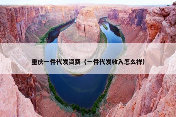重庆一件代发资费（一件代发收入怎么样）
