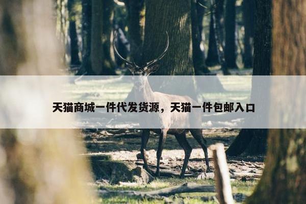 天猫商城一件代发货源，天猫一件包邮入口