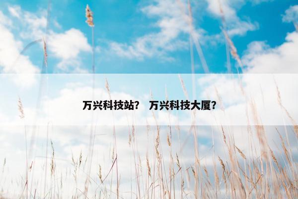 万兴科技站？ 万兴科技大厦？