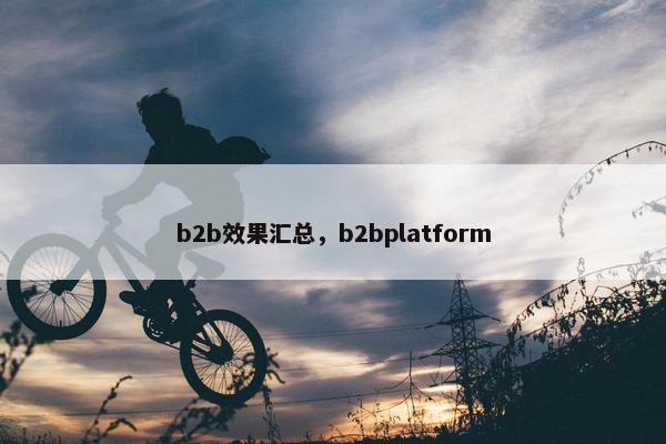 b2b效果汇总，b2bplatform