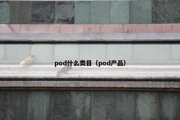 pod什么类目（pod产品）