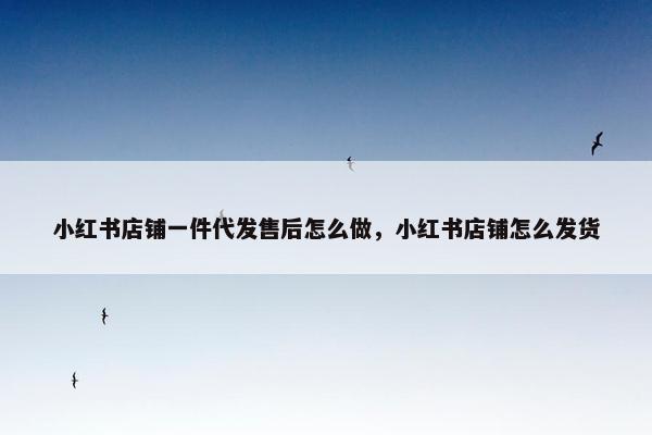 小红书店铺一件代发售后怎么做，小红书店铺怎么发货