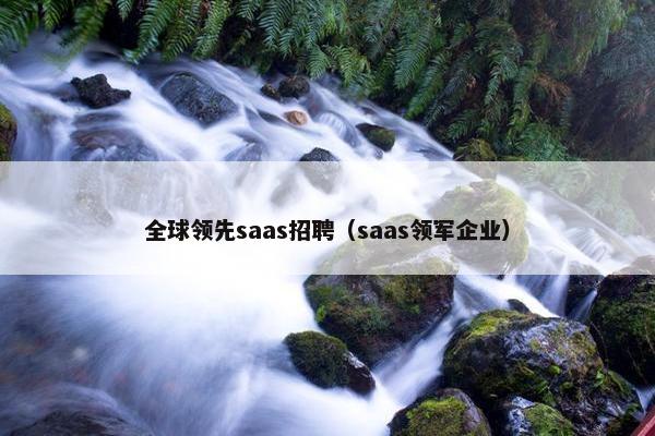 全球领先saas招聘（saas领军企业）