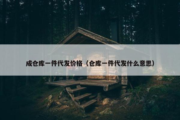 成仓库一件代发价格（仓库一件代发什么意思）