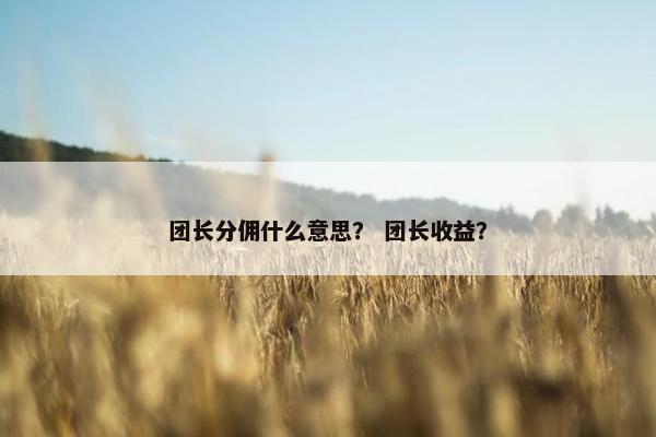 团长分佣什么意思？ 团长收益？
