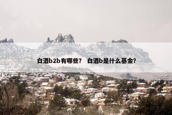 白酒b2b有哪些？ 白酒b是什么基金？